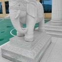 铜陵 白麻花岗岩动物异形石雕-大象