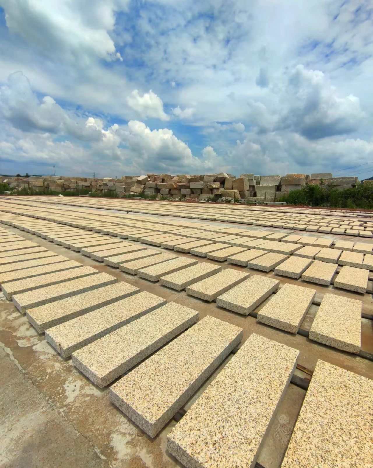 铜陵 黄金麻花岗岩荔枝面地铺石防护中